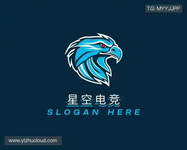 关于星空电竞